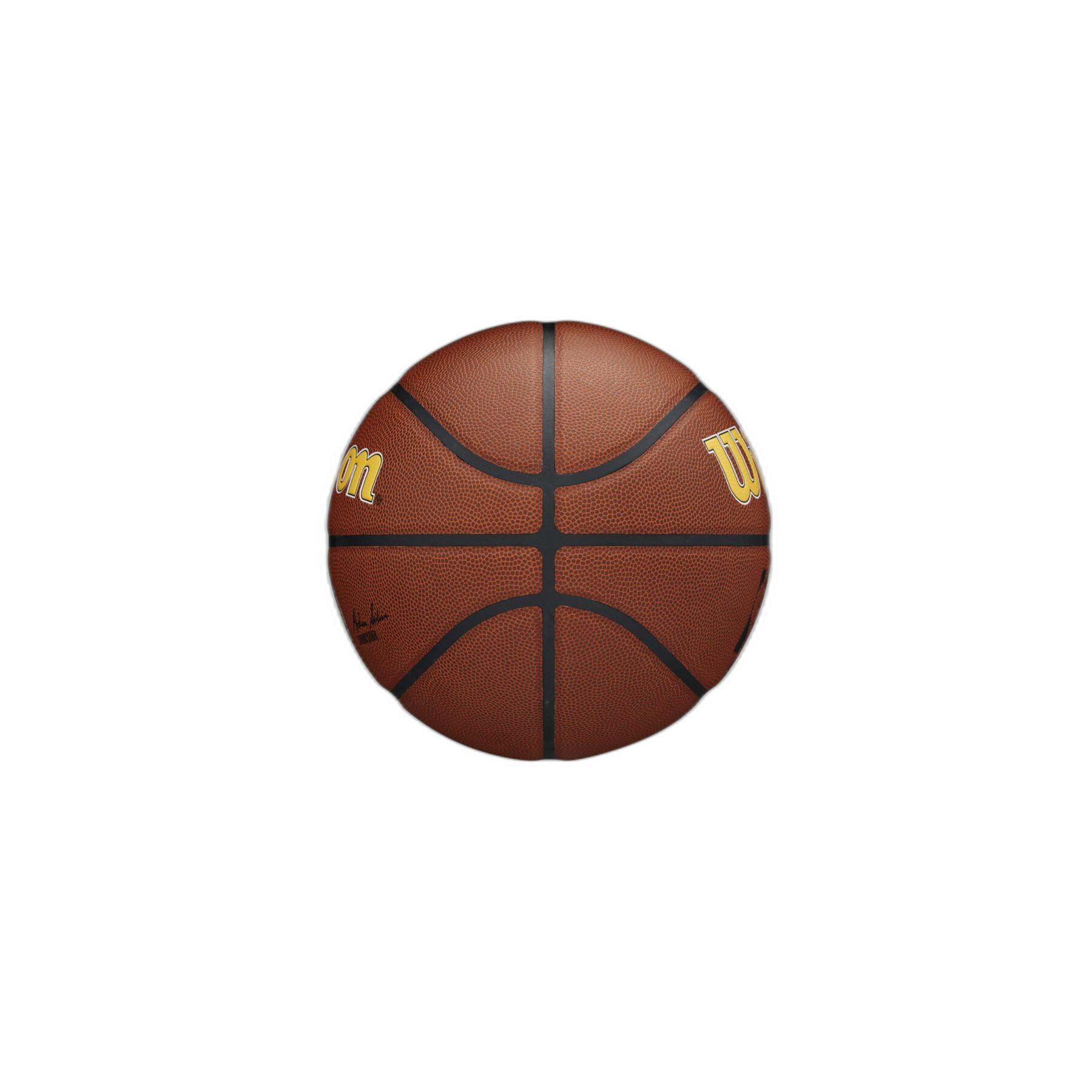 Ballong Indiana Pacers NBA Team Alliance