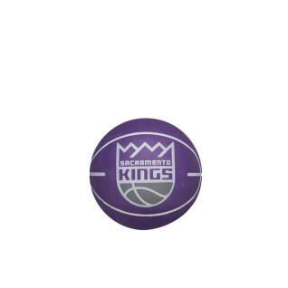 Studsande boll nba dribbler Sacramento Kings