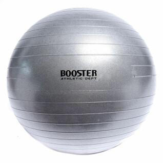 Yogaboll Booster Fight Gear Athletic Dept