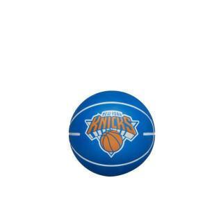 Studsande boll nba dribbler New York Knicks