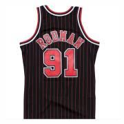Autentisk tröja Chicago Bulls Dennis Rodman #91 1995/1996