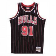 Autentisk tröja Chicago Bulls Dennis Rodman #91 1995/1996