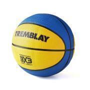 Basketboll Tremblay CT
