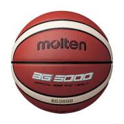 Träningsboll Molten BG3000