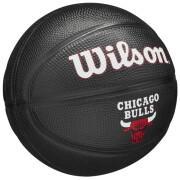 Mini nba boll Chicago Bulls