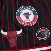 Kort Chicago Bulls Hometown Mesh
