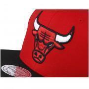Kapsyl Mitchell & Ness Tone Chicago Bulls