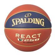 Ballong Spalding LNB React TF 250