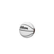 Ballong NBA Autograph Mini