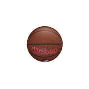 Ballong Portland Trail Blazers NBA Team Alliance