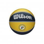 NBA Tribute Ball Indiana Pacers