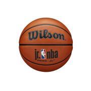 Ballong Wilson JR NBA Authentic series outdoor
