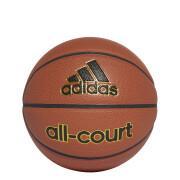 Basketboll adidas All-Court
